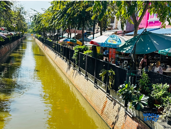 Scenic canal walkway alongside Ong Ang Canal near Sampheng Market lined with lush trees, shaded vendor stalls, and outdoor seating. Original photo by Ariana of WinterExpat.